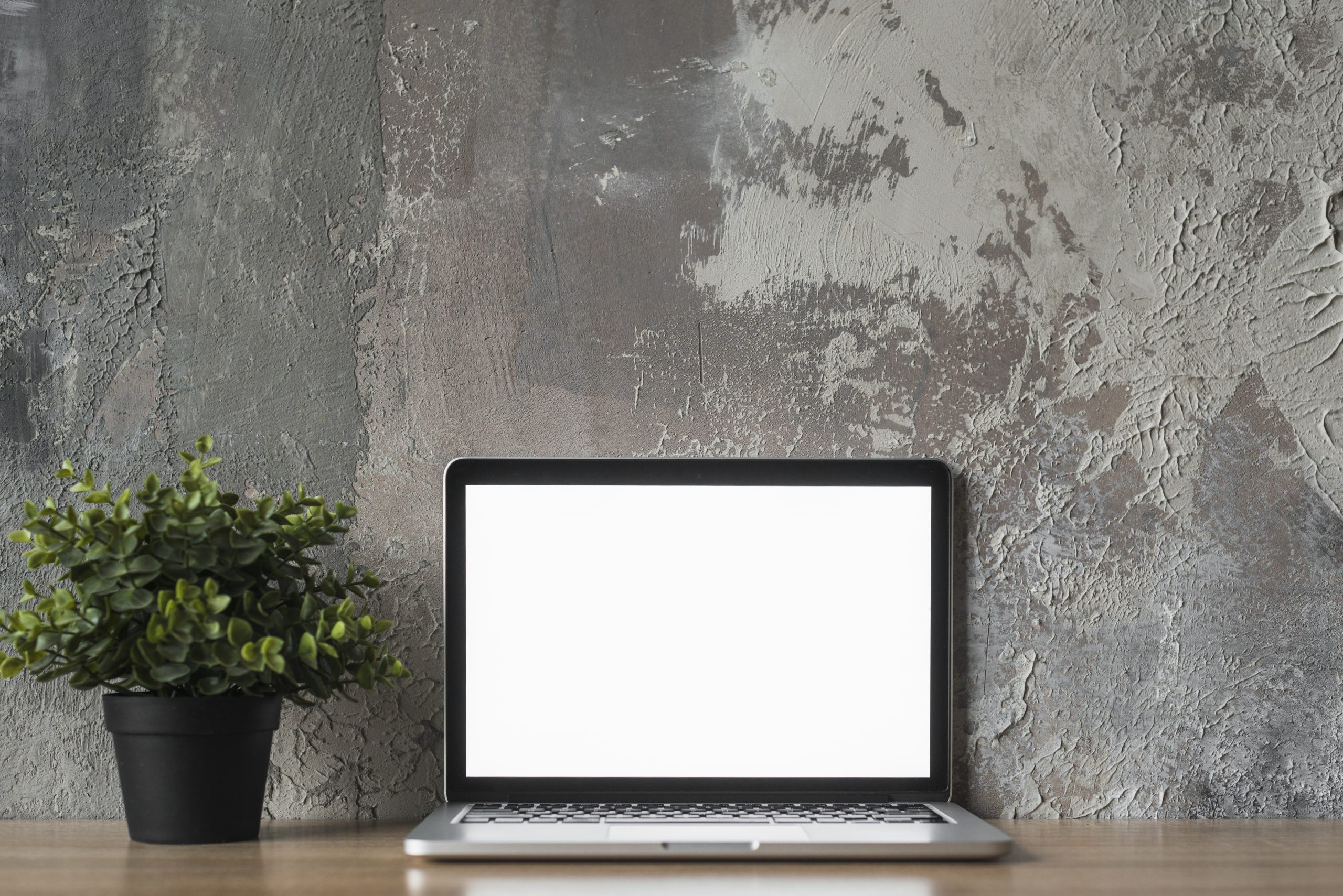 Bertha-von-Suttner Realschule Köln 